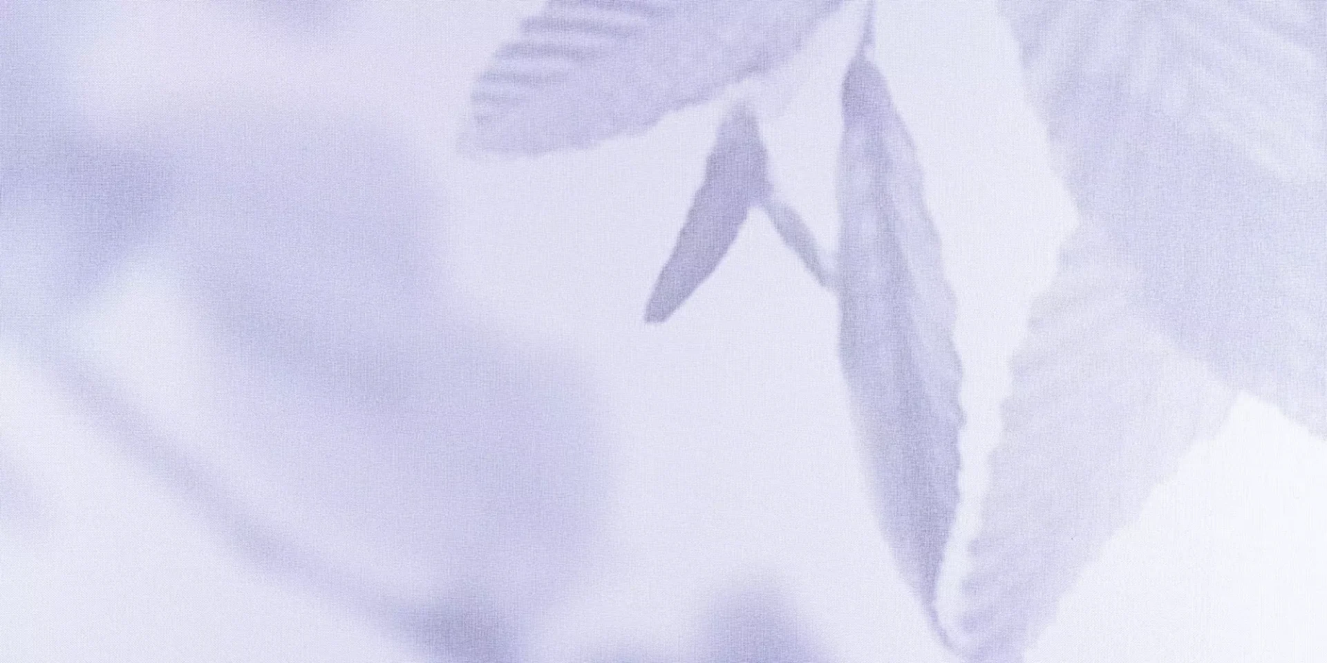 0052