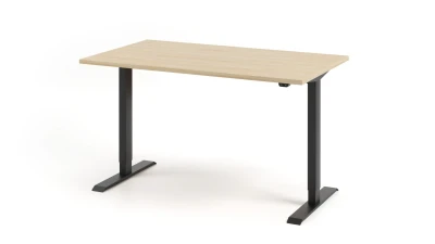 ALTIUS 01 work desk