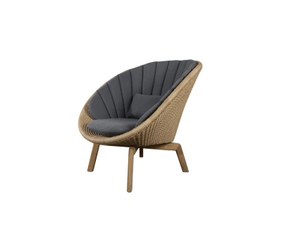 Peacock lounge chair w/teak legs