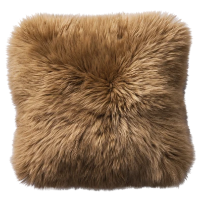 Catskills cushion